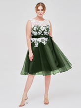 Col d'Illusion Organza avec Dentelle Ivoire Appliquée Olive Verte