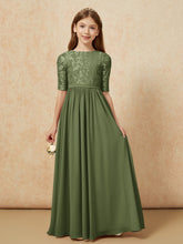Olive Verte