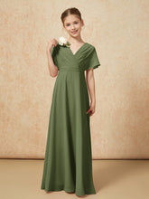 Olive Verte
