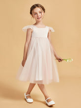 Pétale Rose