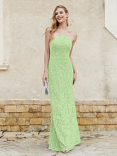 Robe Fourreau en Dentelle Longueur au Sol à Col Licou Sauge