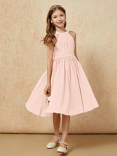 Rose Perle