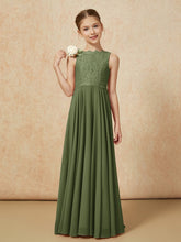 Olive Verte