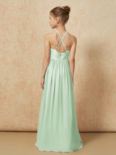 Sauge Poudrée