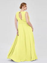 Daffodil
