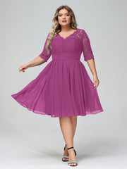 Orchidee