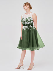 Col d'Illusion Organza avec Dentelle Ivoire Appliquée Olive Verte