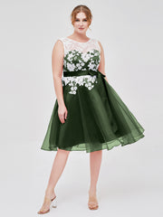 Col d'Illusion Organza avec Dentelle Ivoire Appliquée Olive Verte Grande Taille