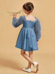 Bleu de Schiste