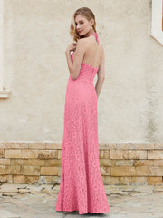 Robe Fourreau en Dentelle Longueur au Sol à Col Licou Pastèque