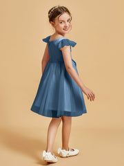 Bleu de Schiste