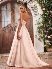 Maxi Robe de Bal Appliquée avec Corset en Tulle et Dentelle à Col Licou Rose Perle