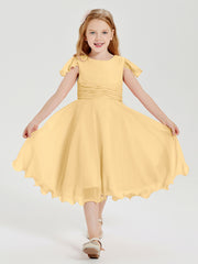 Robes de Demoiselle d'Honneur Junior en Mousseline à Longueur de Mollet Or