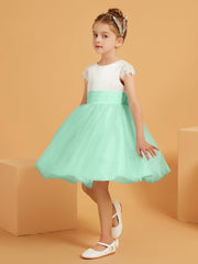 Vert Menthe