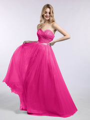 Fuchsia