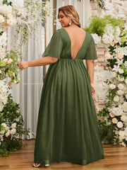 Olive Verte