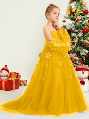 Souci