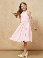 Rose Pâle
