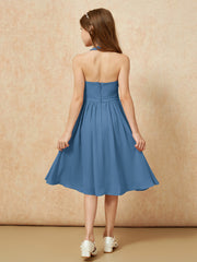 Bleu de Schiste