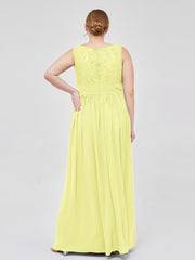 Daffodil