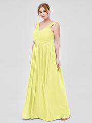 Daffodil