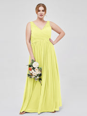 Daffodil