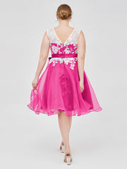 Fuchsia