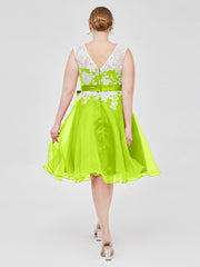 Vert Citron