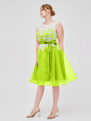 Vert Citron