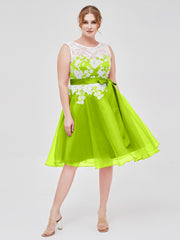 Vert Citron