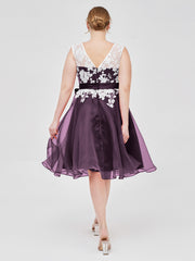 Plum