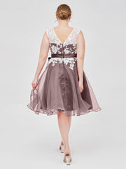 Vintage Mauve