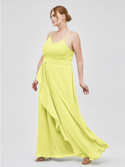 Daffodil