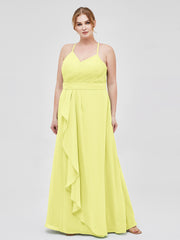 Daffodil