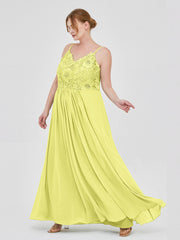 Daffodil