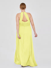 Daffodil