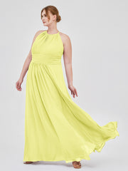 Daffodil