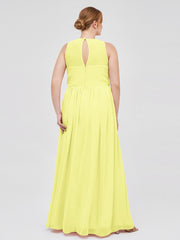 Daffodil