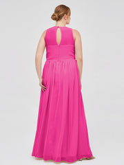Fuchsia