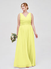 Daffodil
