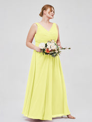 Daffodil