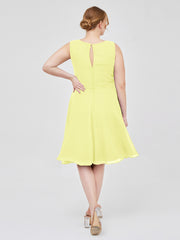 Daffodil