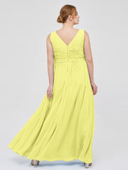 Daffodil