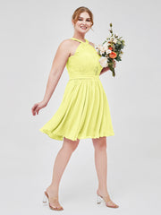Daffodil