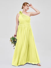 Daffodil