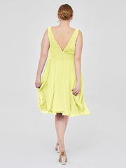 Daffodil