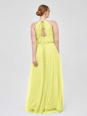 Daffodil
