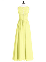 Daffodil