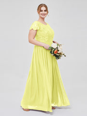 Daffodil