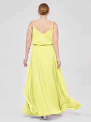 Daffodil